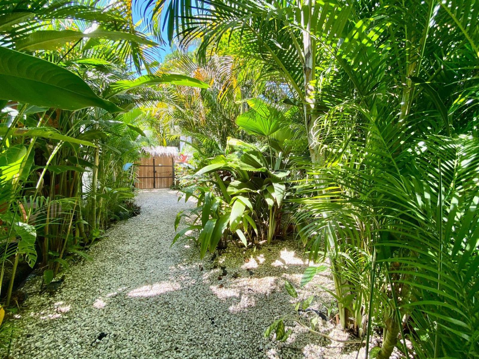 Santeria Lodge Playa Santa Teresa  Exterior photo