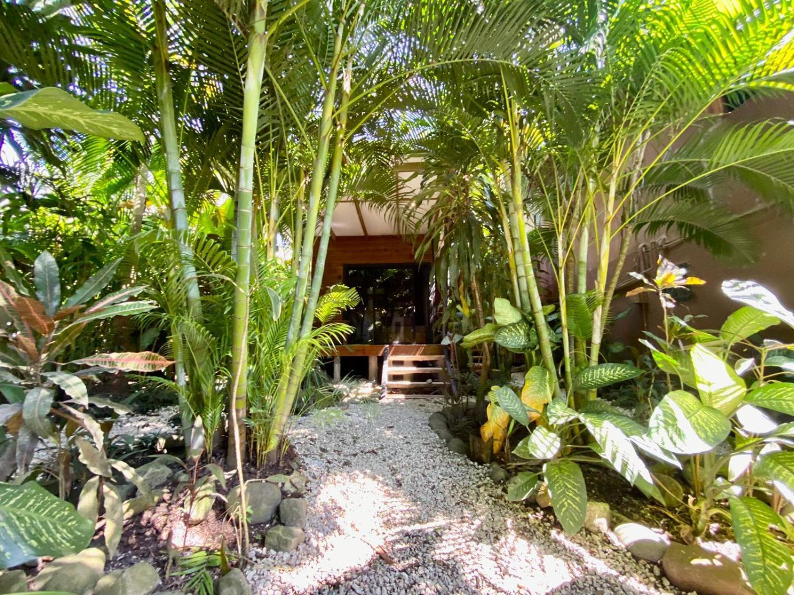 Santeria Lodge Playa Santa Teresa  Exterior photo